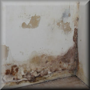 Prévention de l'humidité ascensionnelle