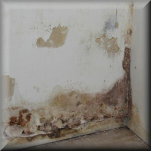 Prévention de l'humidité ascensionnelle